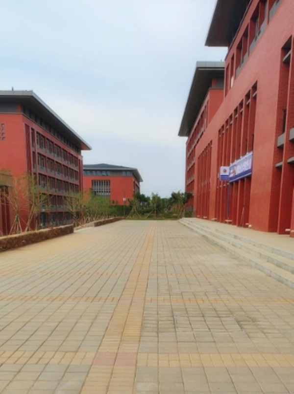 洛陽職業技術學院透水磚工程案例-施工效果展示 洛陽職業技術學院透水磚工程案例-施工效果展示